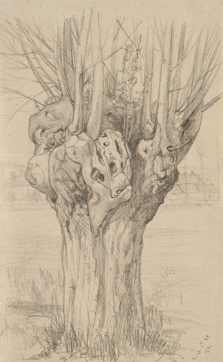 Knoestige boom, 1884 door Samuel Isham