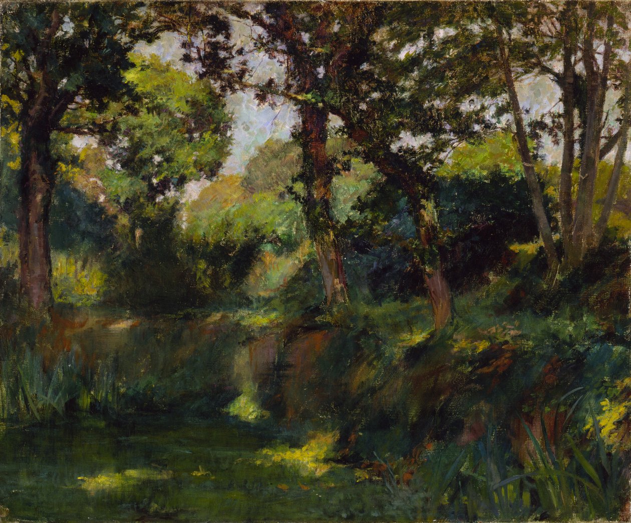Bosrijk landschap door Samuel Isham