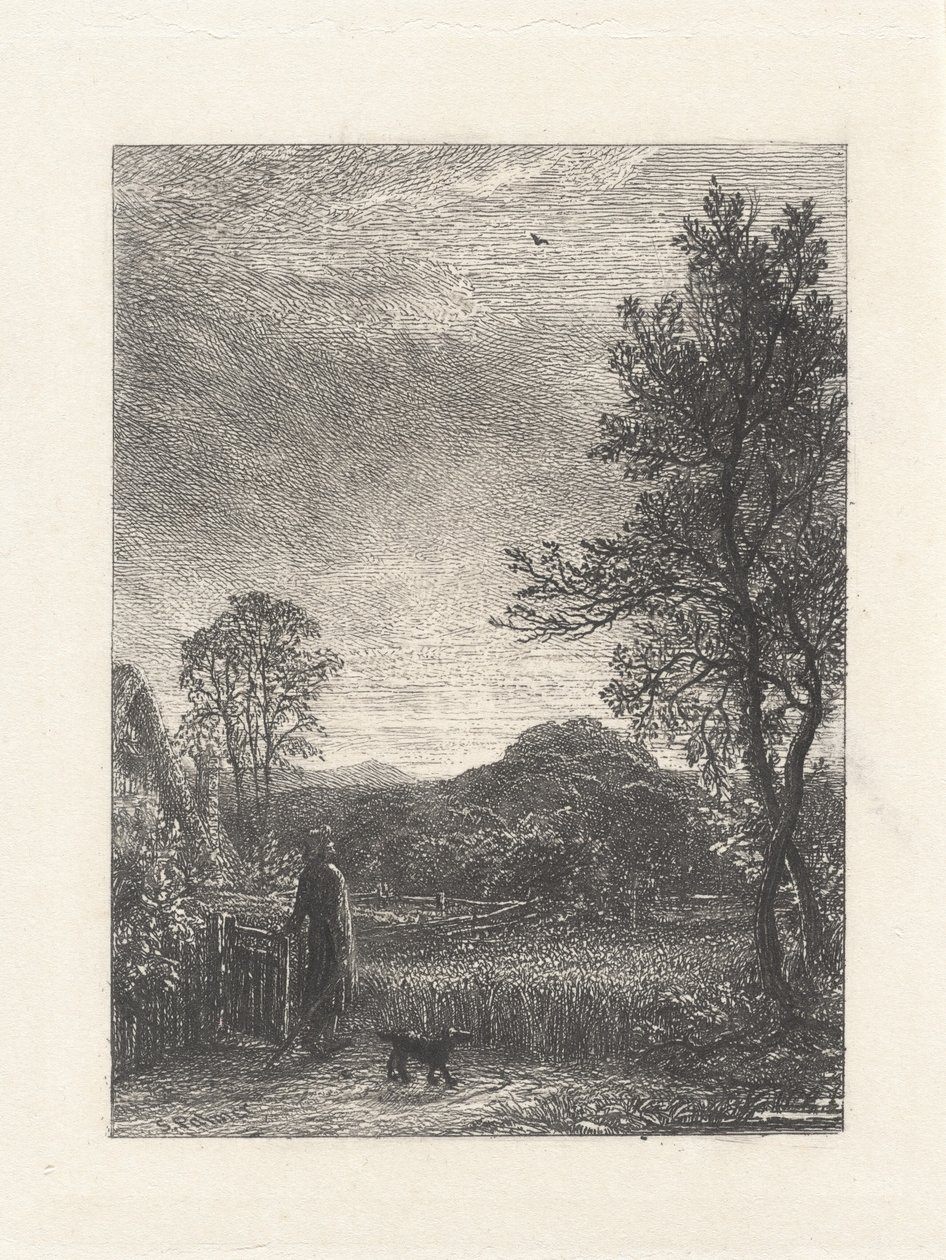 De veldleeuwerik door Samuel Palmer