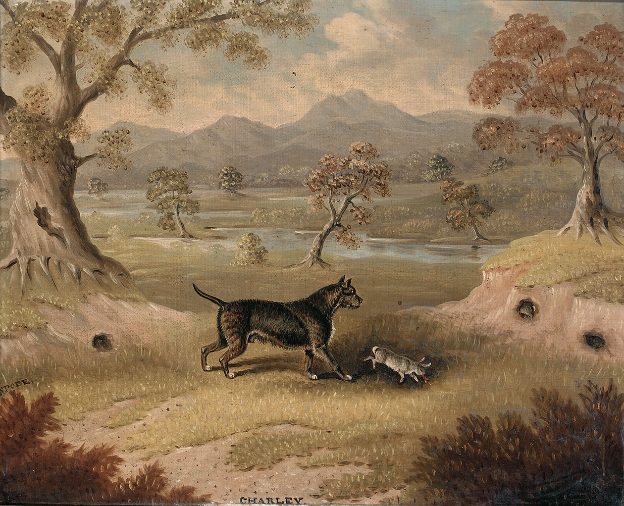 Charley, een Terrier met een Konijn door Samuel Spode