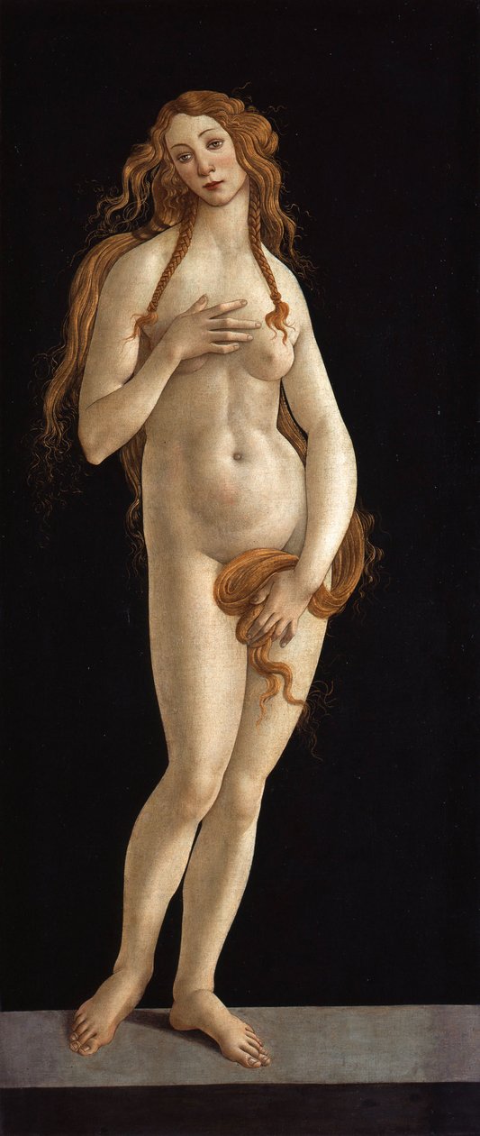 German: Venus Venus door Sandro Botticelli