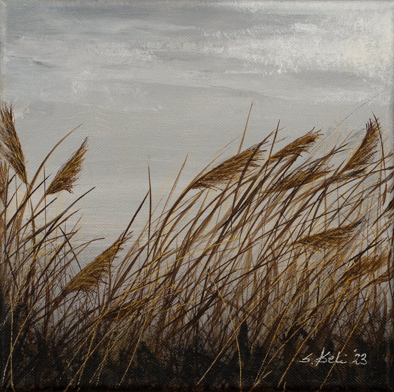  door Sandy Iseli