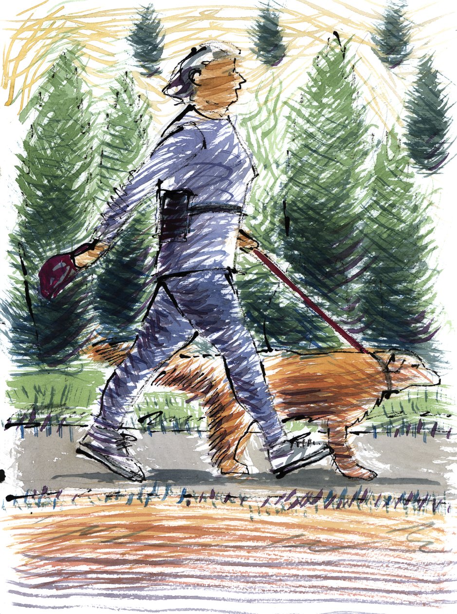 De hond uitlaten, 2009 door Sara Hayward