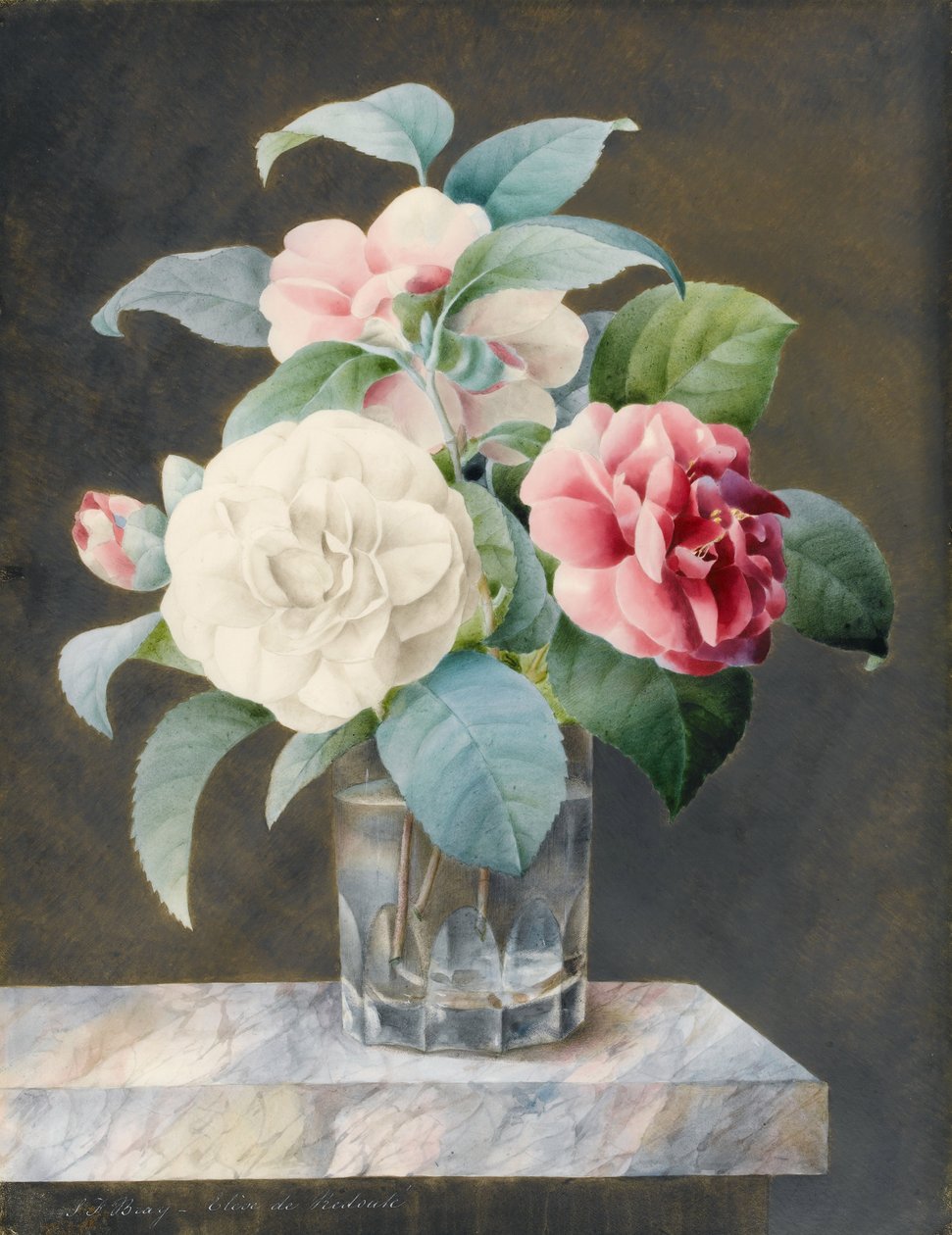 Een Geslepen Glazen Vaas met Witte, Roze en Rode Camelia