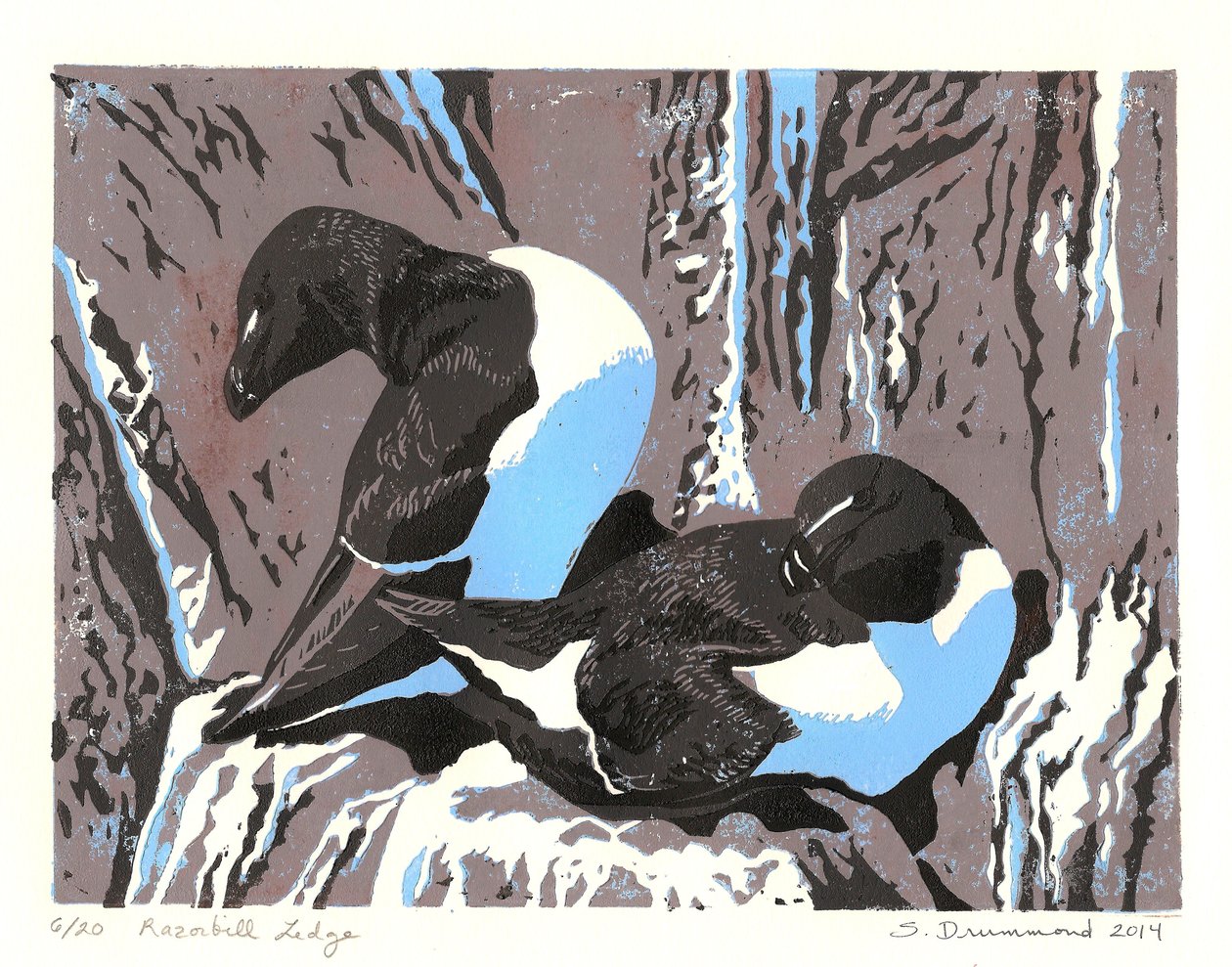 Razorbill richel, 2014 (Linosnede) door Sarah Drummond