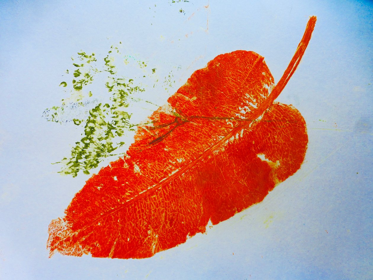 Oranje Blad door Sarah Thompson Engels