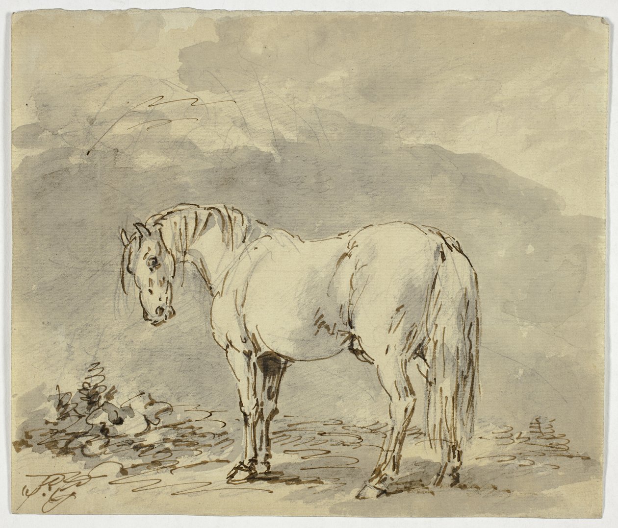 Staand Paard met Gedraaide Kop door Sawrey Gilpin