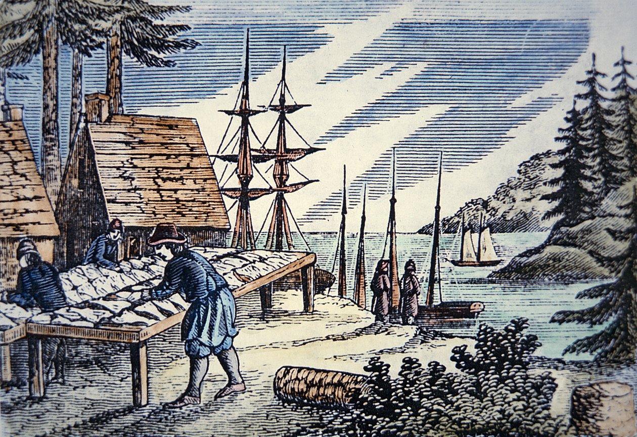 Vissers die kabeljauw drogen in New England, uit een 17e-eeuwse houtsnede door School American