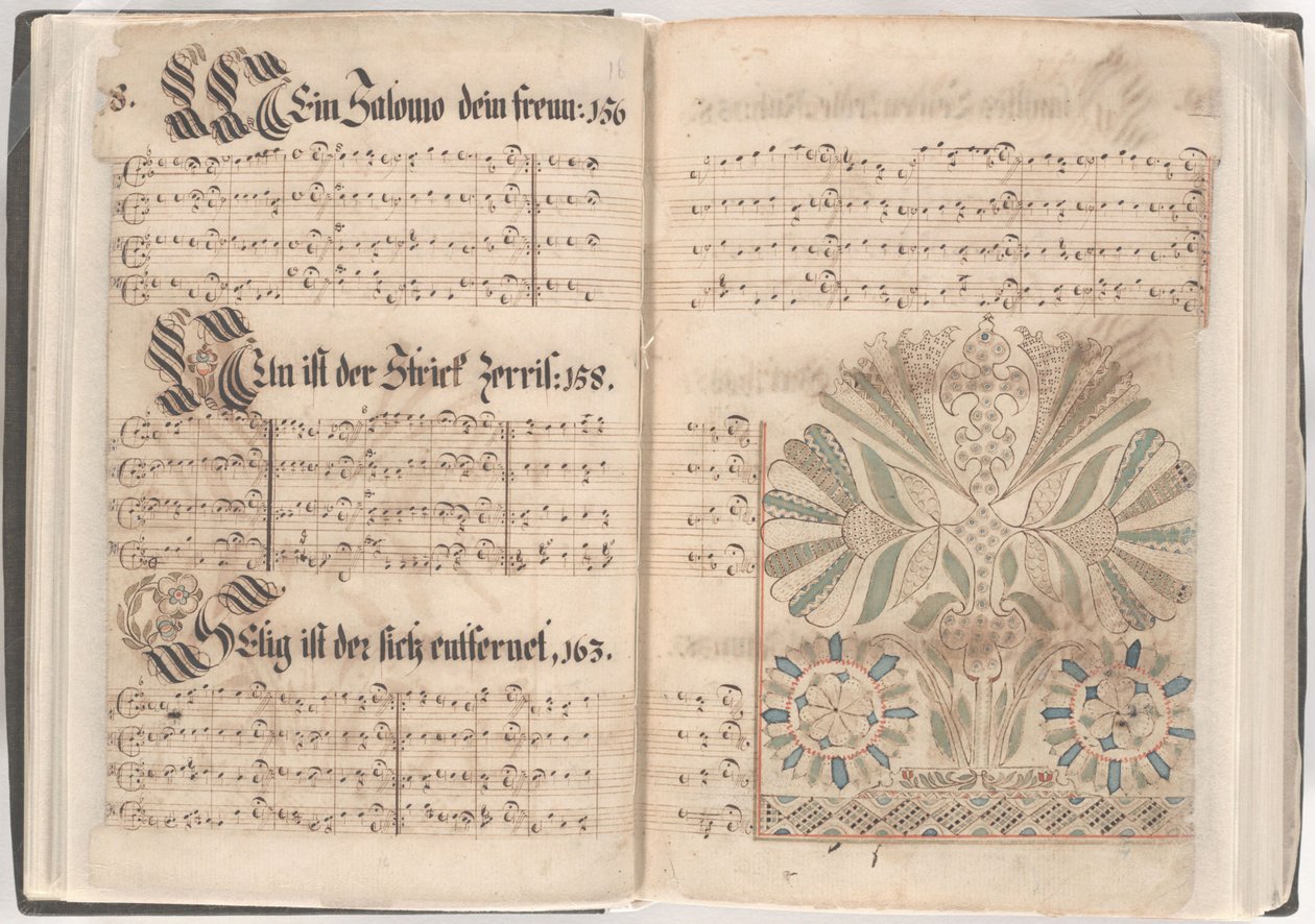 Pagina