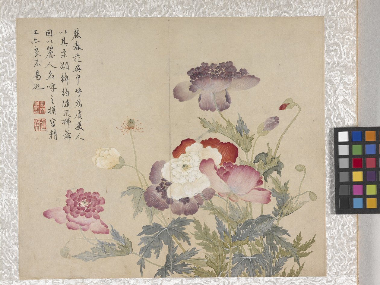 8 Blad Album van Bloemen, midden 1700s door School Chinese