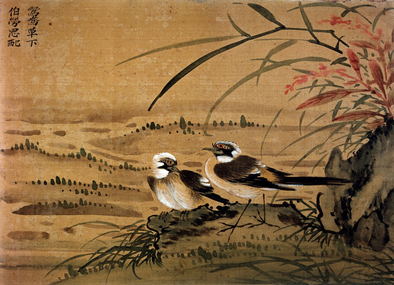 Kunst China: Vogels. Zijdeschilderij door Li youen kien uit de 16e eeuw. Parijs, BN door School Chinese