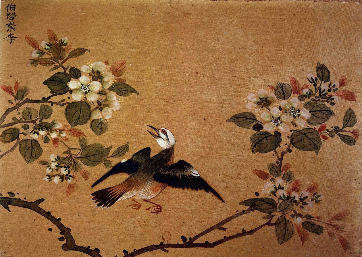 Chinese kunst: vogel en bloemen. 16e eeuw zijde schilderij. Parijs, B.N. door School Chinese