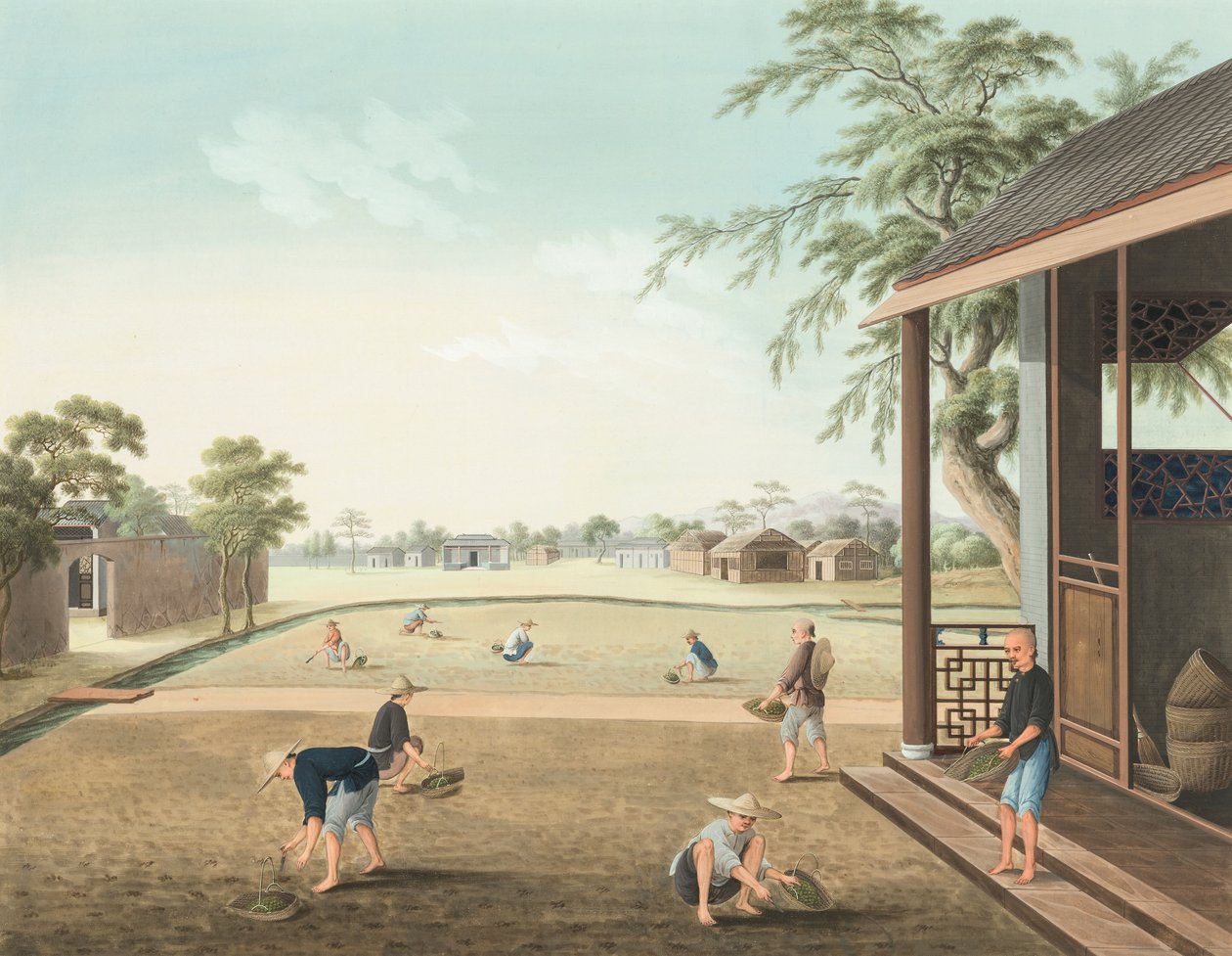 Theeproductie, ca. 1820 door School Chinese