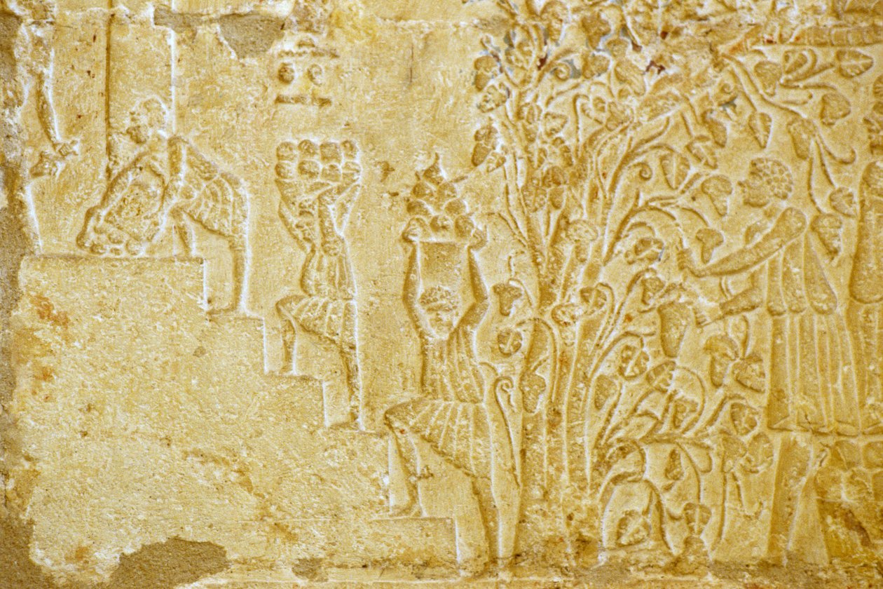 Oud Egypte, muursnede, graf van Petosiris, Tuna el Gebel, 300 v.Chr., druiven naar de wijnpers dragen door School Egyptian