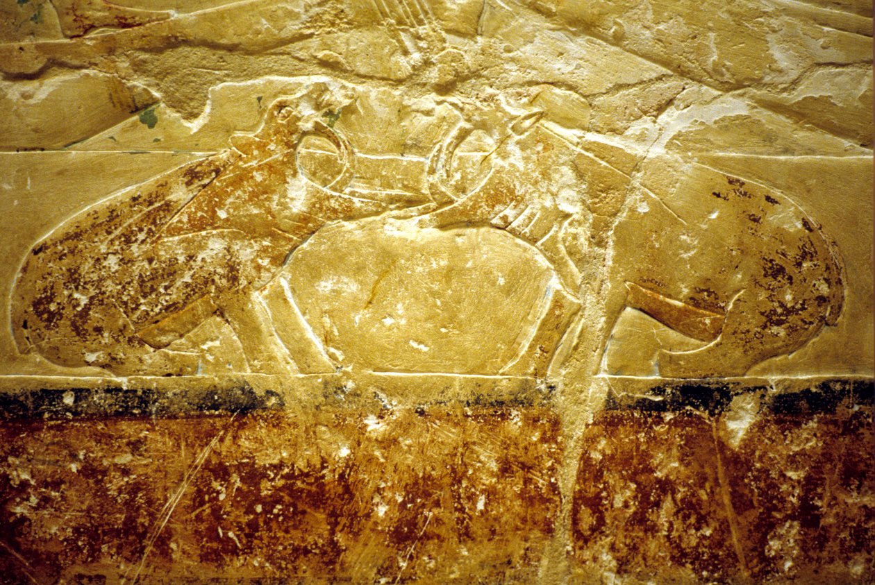 Oud Egypte, muurgravure/schildering, Mastaba/graf van Idout, Saqqara, 6e dynastie, Twee nijlpaarden vechten door School Egyptian