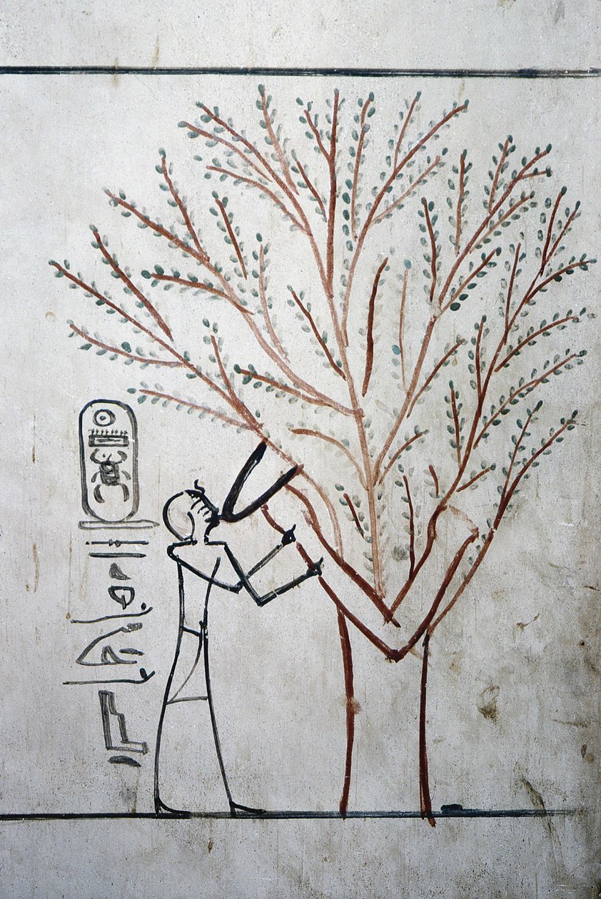 Luxor, Thebe: Vallei der Koningen. Graf van Thutmosis (Tuthmosis of Thutmes) III (-1504 - -1450), Farao van Egypte. door School Egyptian