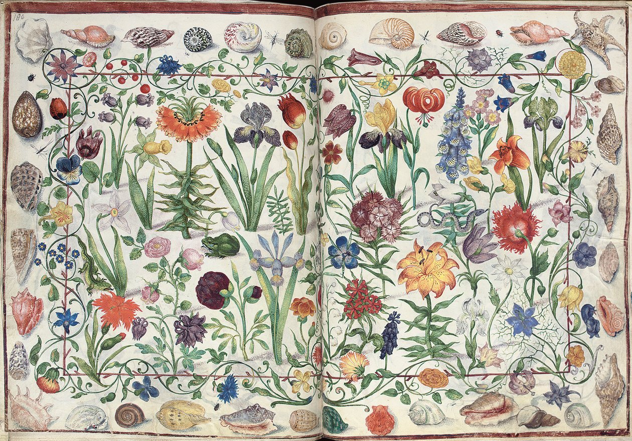 Pagina