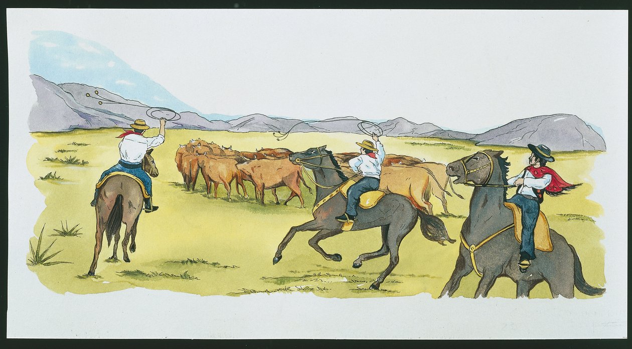 Argentinië - gaucho