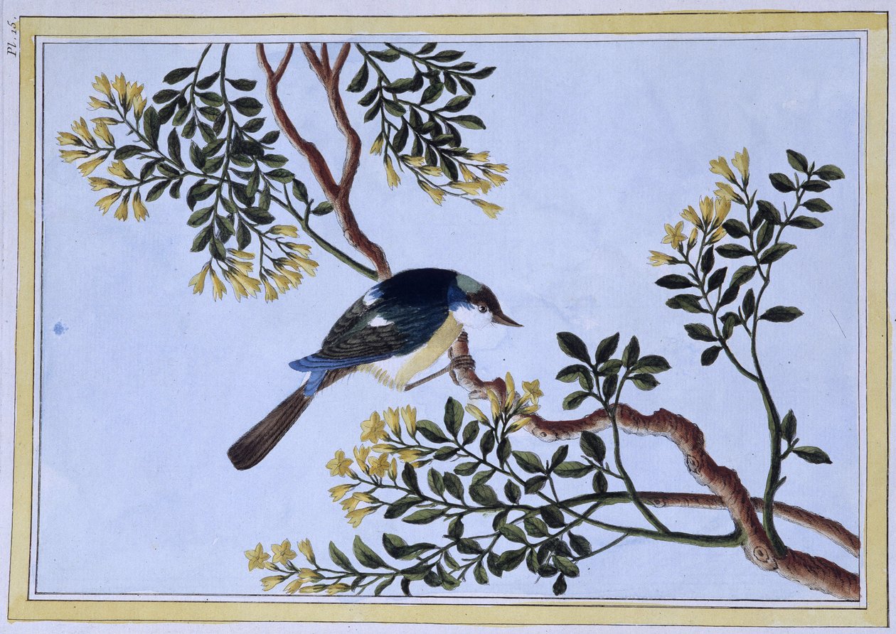 Vogel - Japanse prent door Japanese School