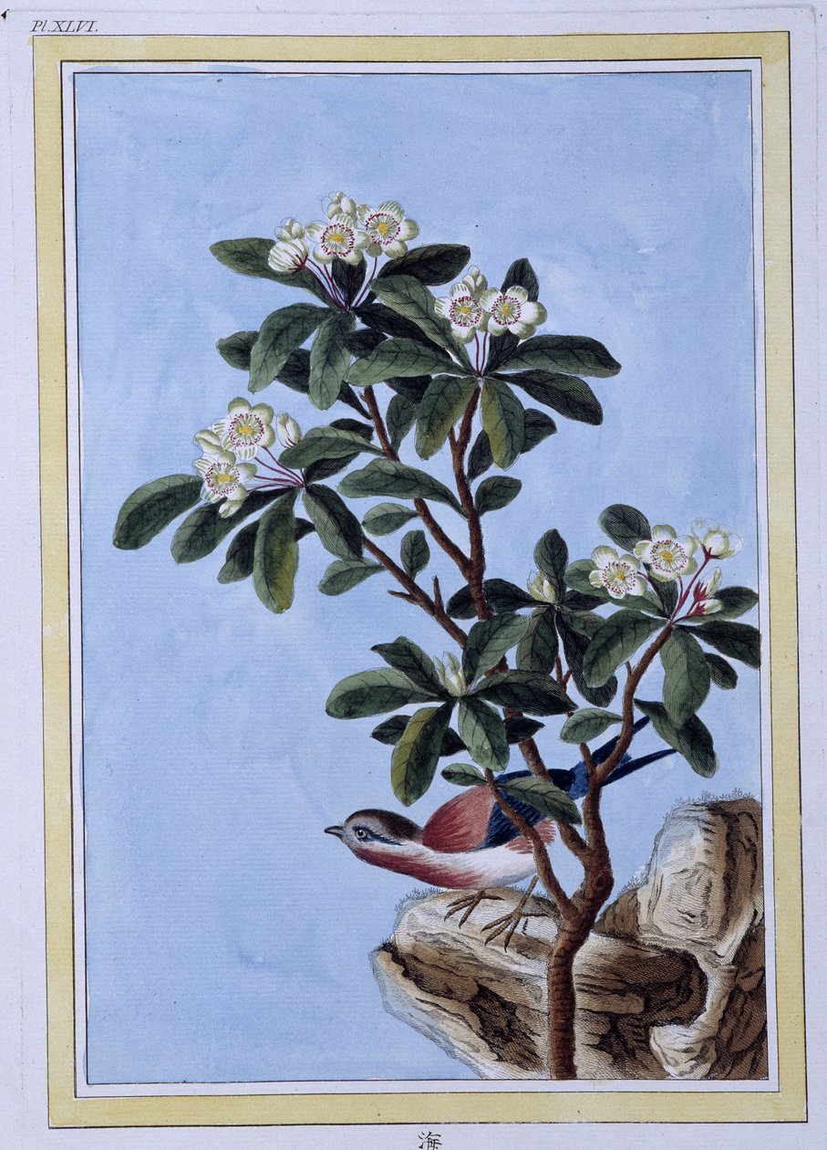 Vogel - Japanse prent door Japanese School