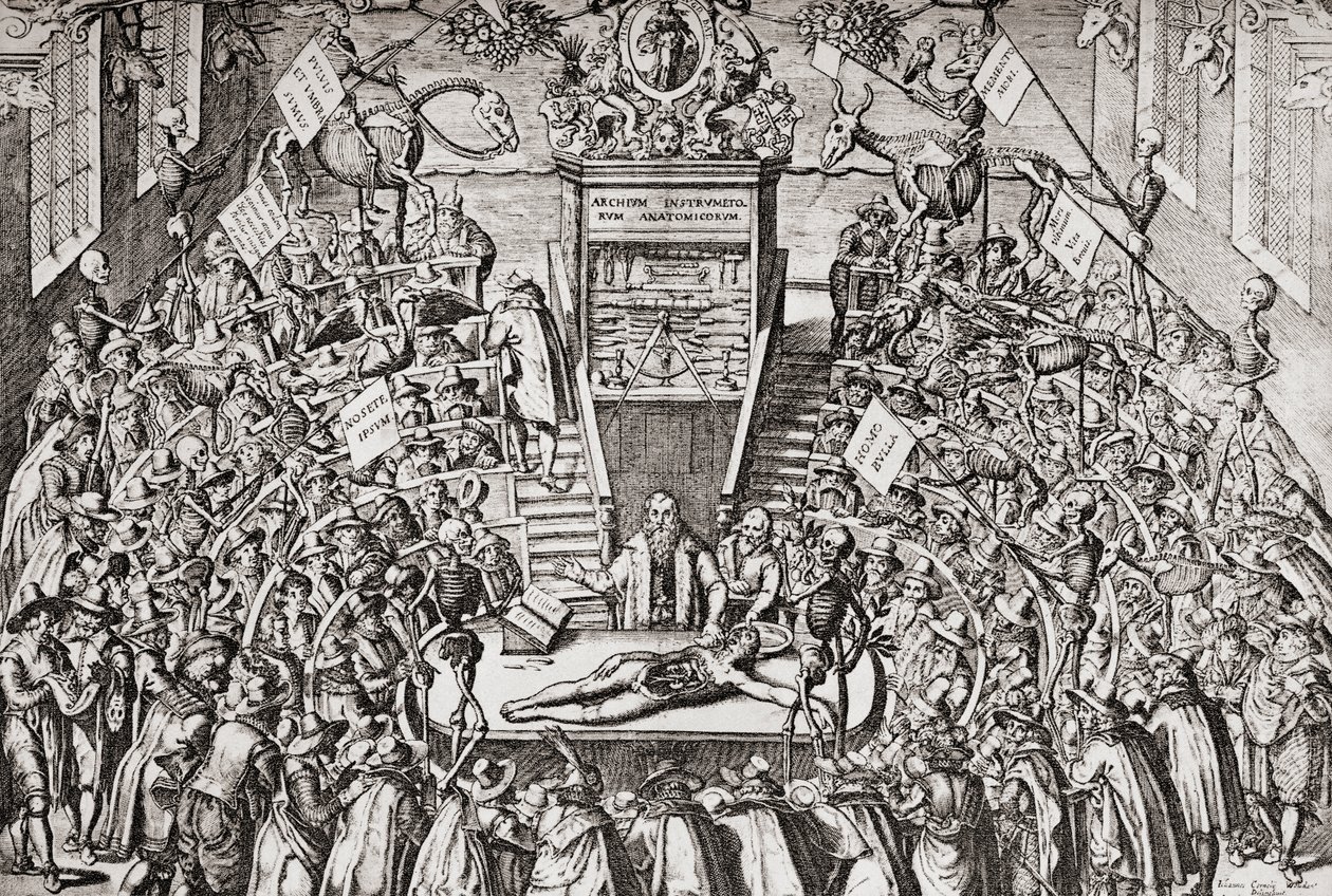 Studenten die een anatomieles bijwonen aan de Universiteit van Leiden, uit 