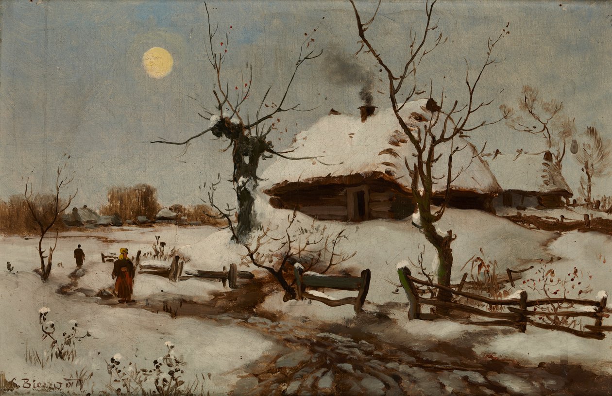 Huisjes in de sneeuw door Seweryn Bieszczad