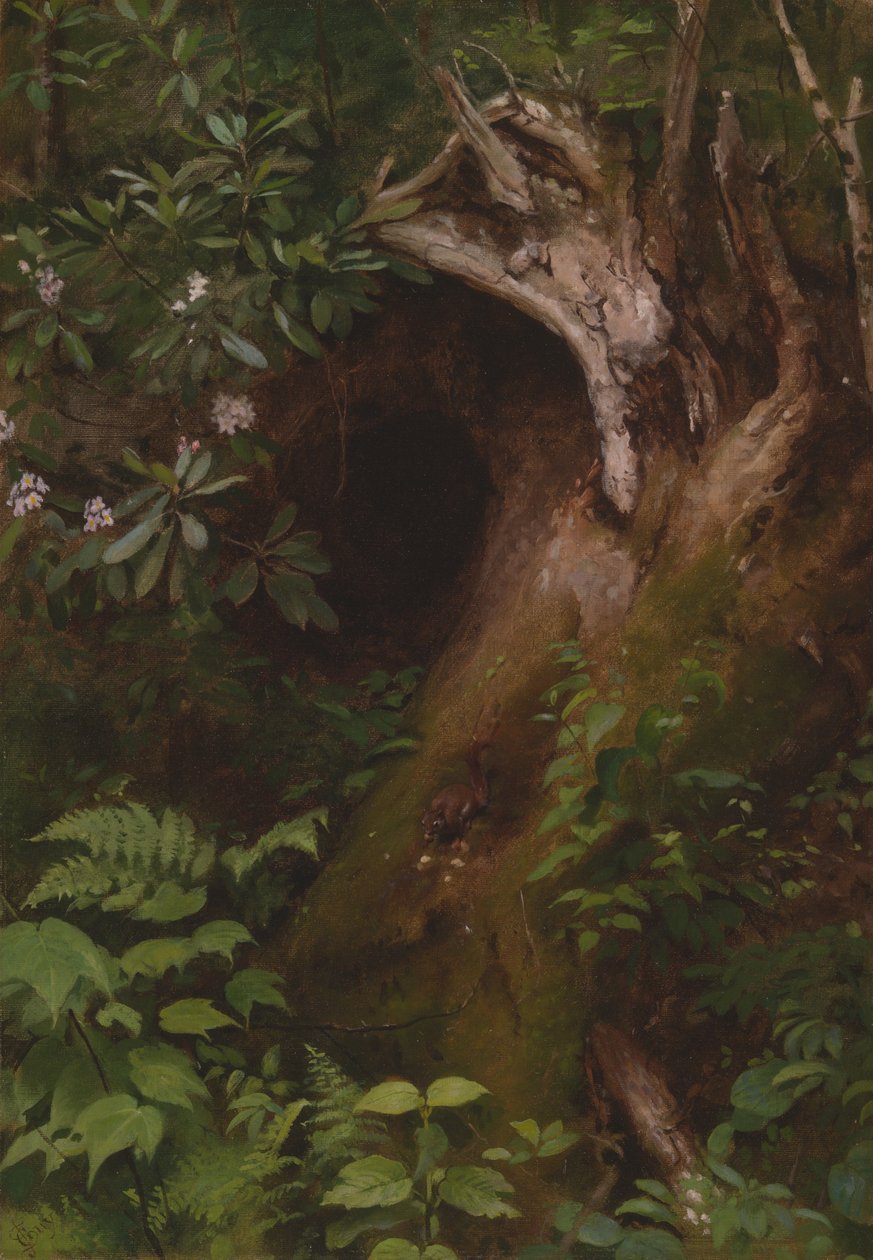De Eekhoorn, 1860s-1870s door Seymour Joseph Guy
