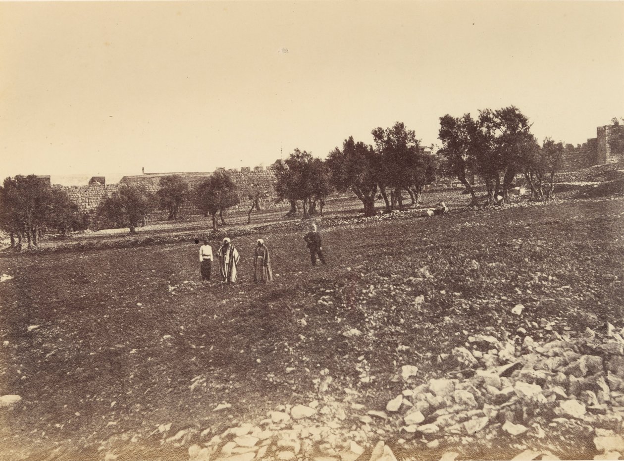Panoramisch Uitzicht op de Stad - Algemeen Uitzicht op de Stad vanuit het Noorden door Sgt. James M. McDonald