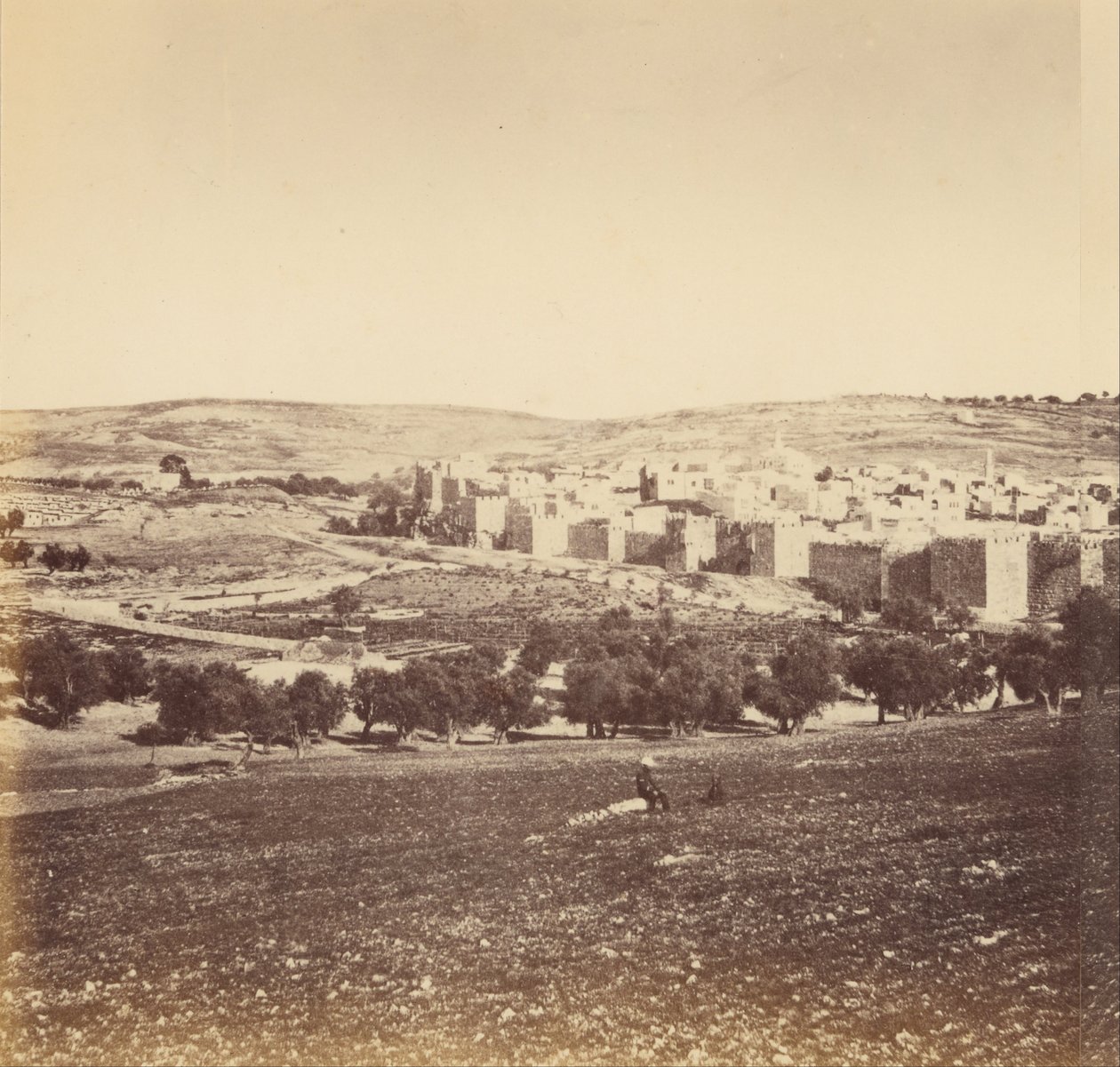 Panoramisch Uitzicht op de Stad door Sgt. James M. McDonald