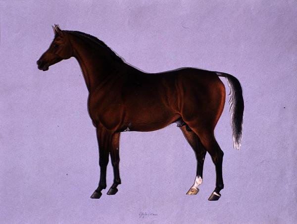 Oppidan, ca. 1840 door Shaik Muhammad Amir of Karraya