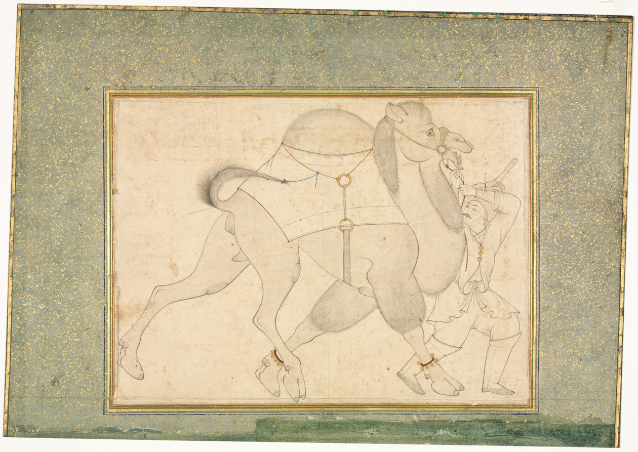 Kameel en Knecht, Enkele Pagina Illustratie, ca. 1545-1576 door Shaykh Muhammad