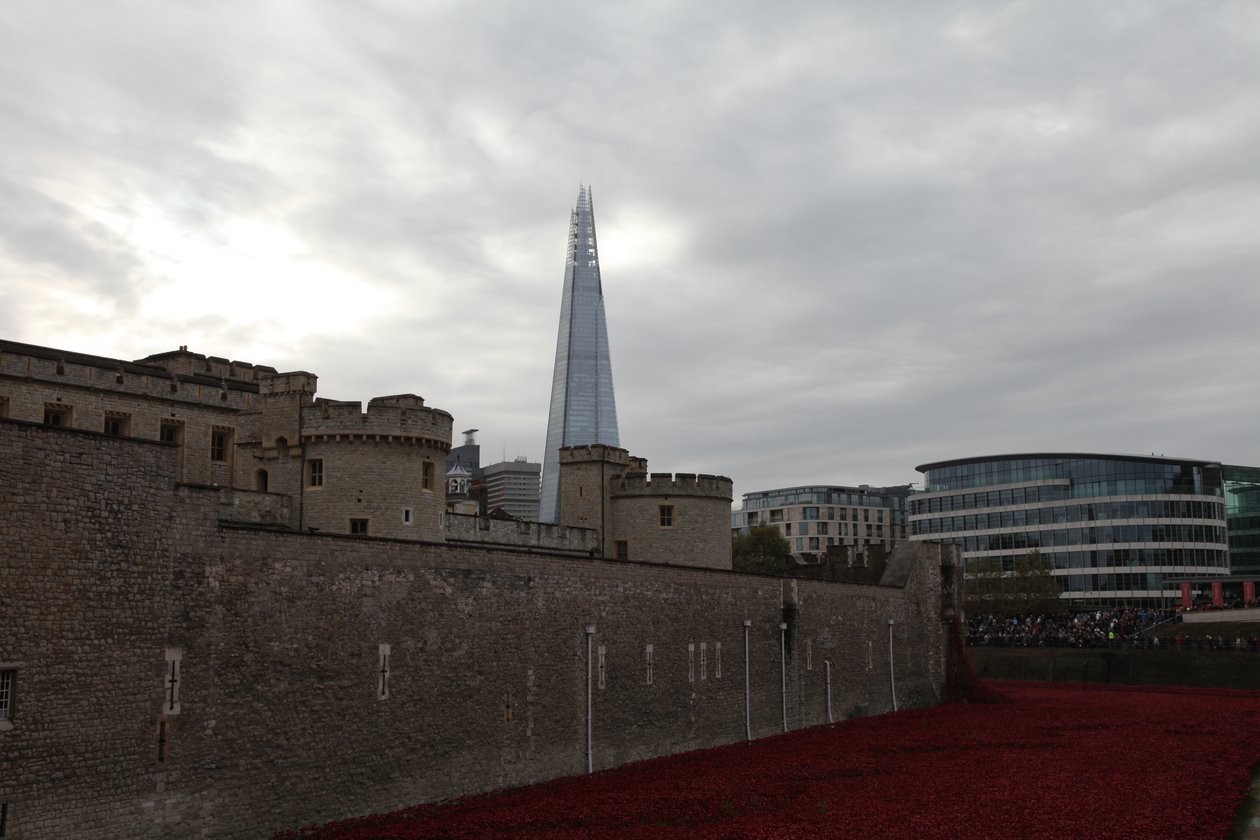 Blood Swept Lands and Seas of Red, Tower of London, 2014 door Sheldon Marshall