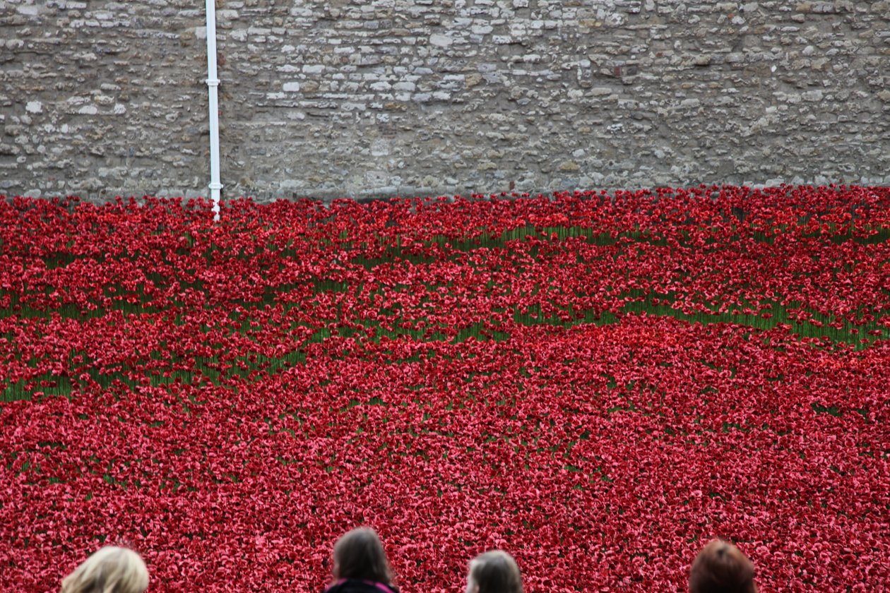 Blood Swept Lands and Seas of Red, Tower of London door Sheldon Marshall