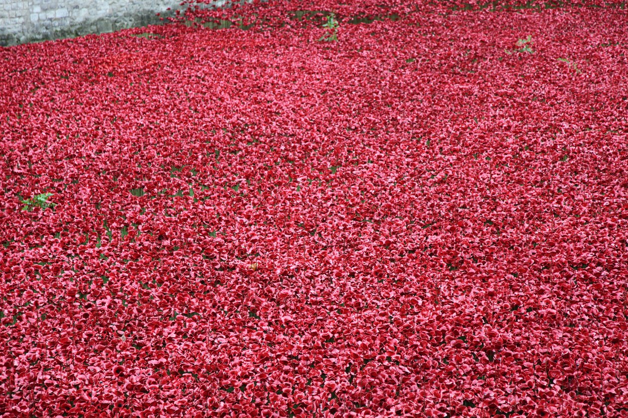 Blood Swept Lands and Seas of Red, Tower of London door Sheldon Marshall