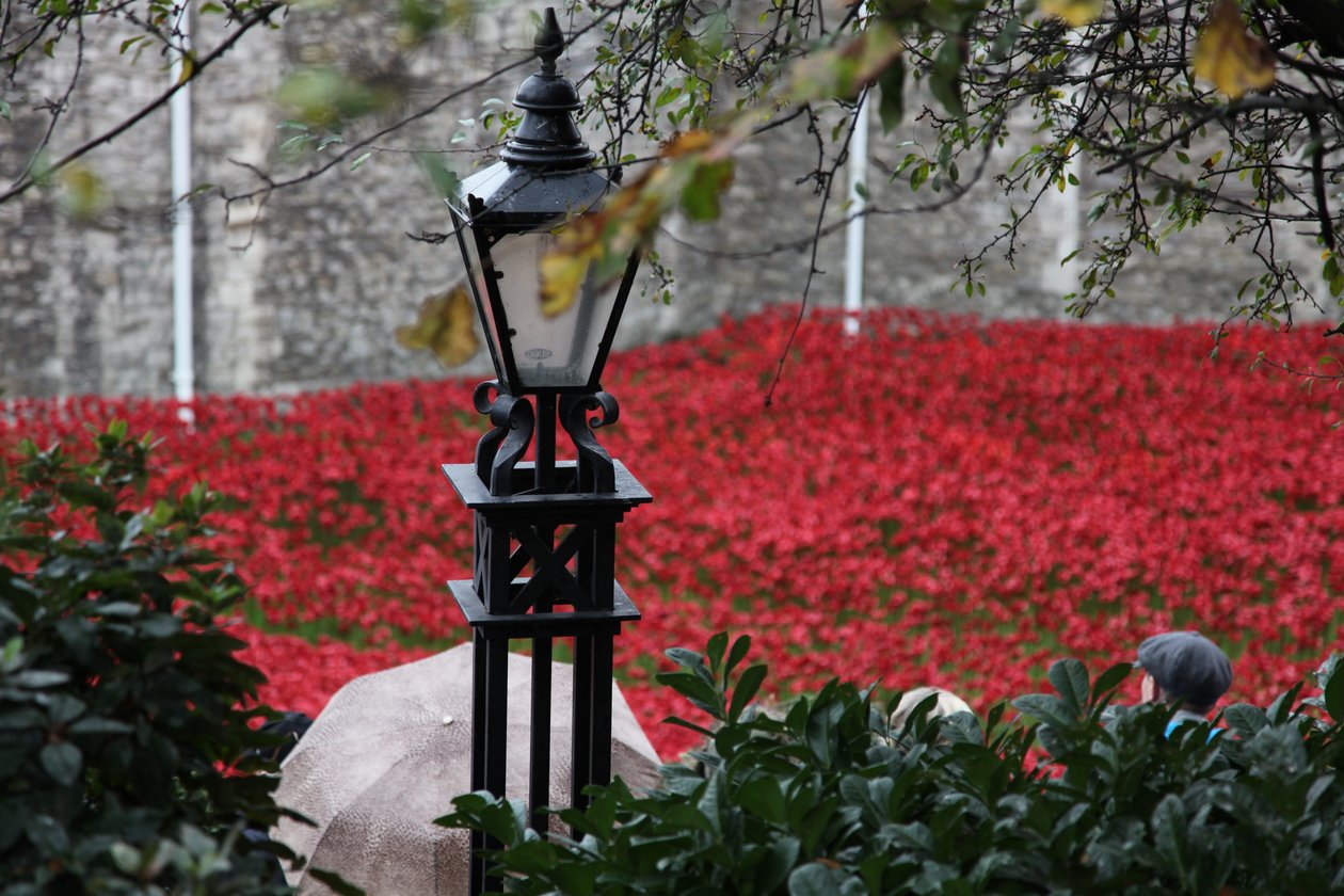 Bloed doordrenkte landen en zeeën van rood, Tower of London door Sheldon Marshall