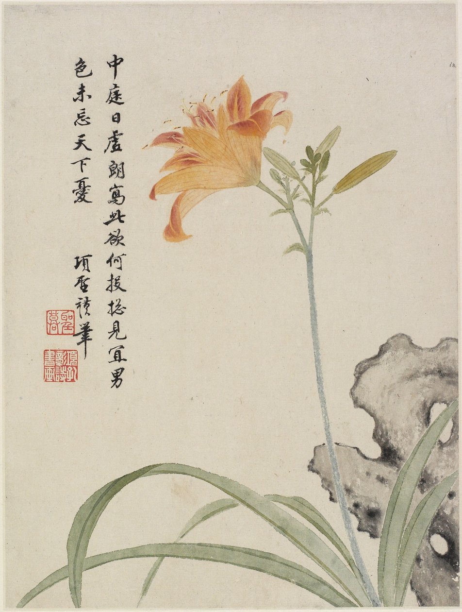 Daglelie uit een bloemenalbum van tien bladeren, 1656 door Shengmo Xiang