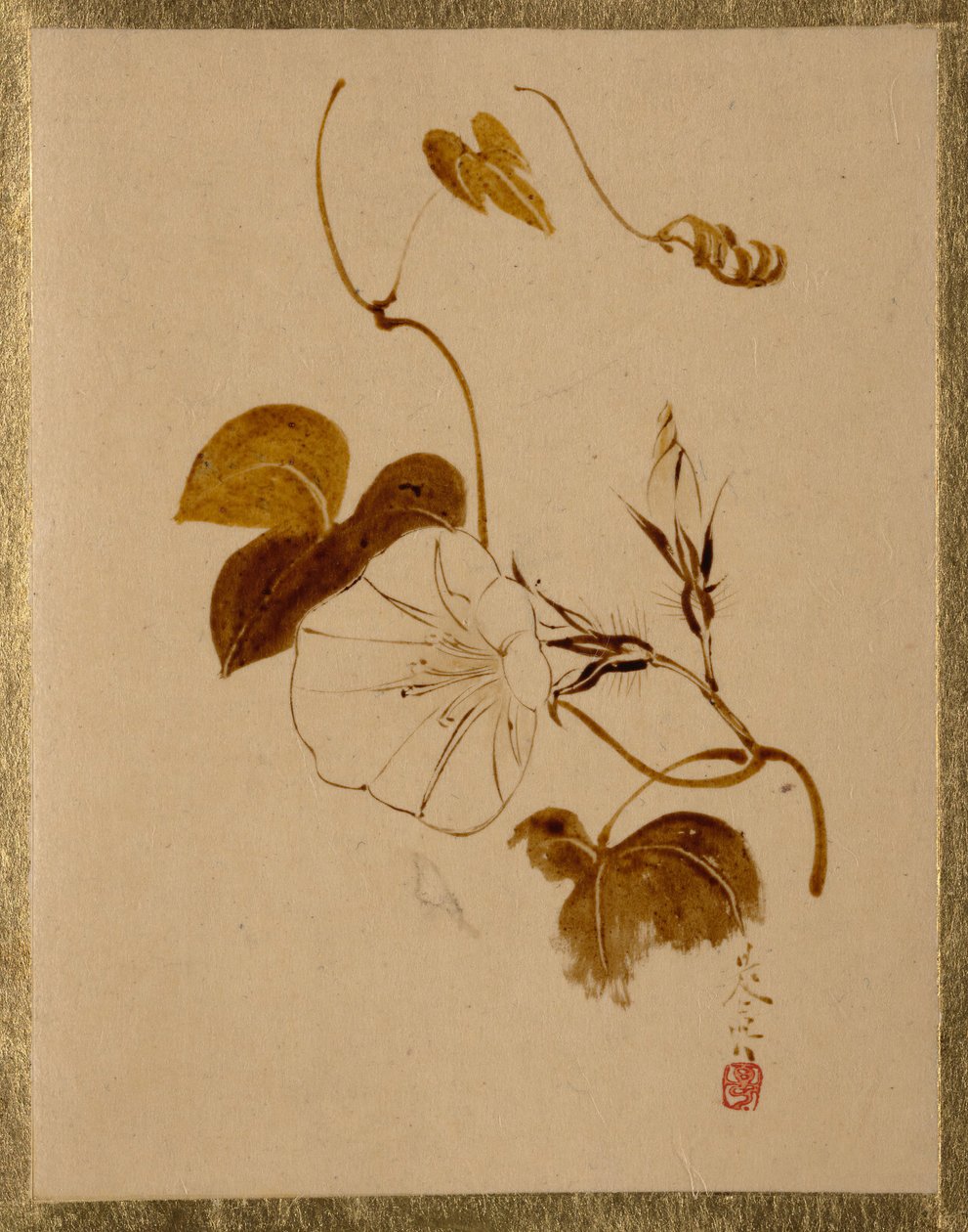 Ochtendglorie door Shibata Zeshin