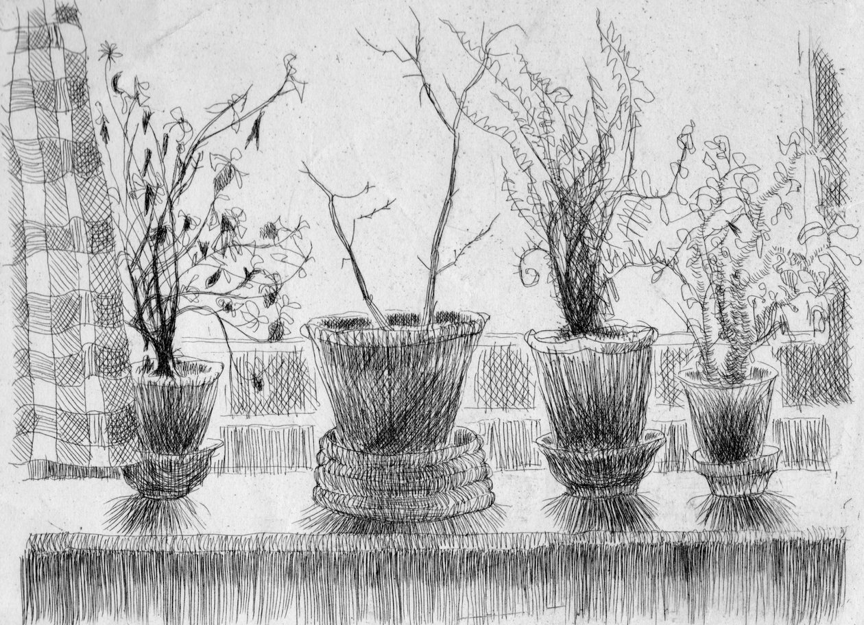 Dode planten op een vensterbank door Shirley Markham