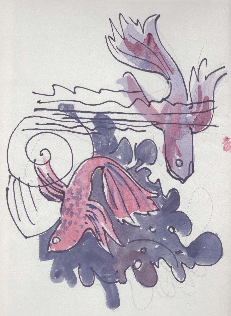 Visstudie door Shirley Markham