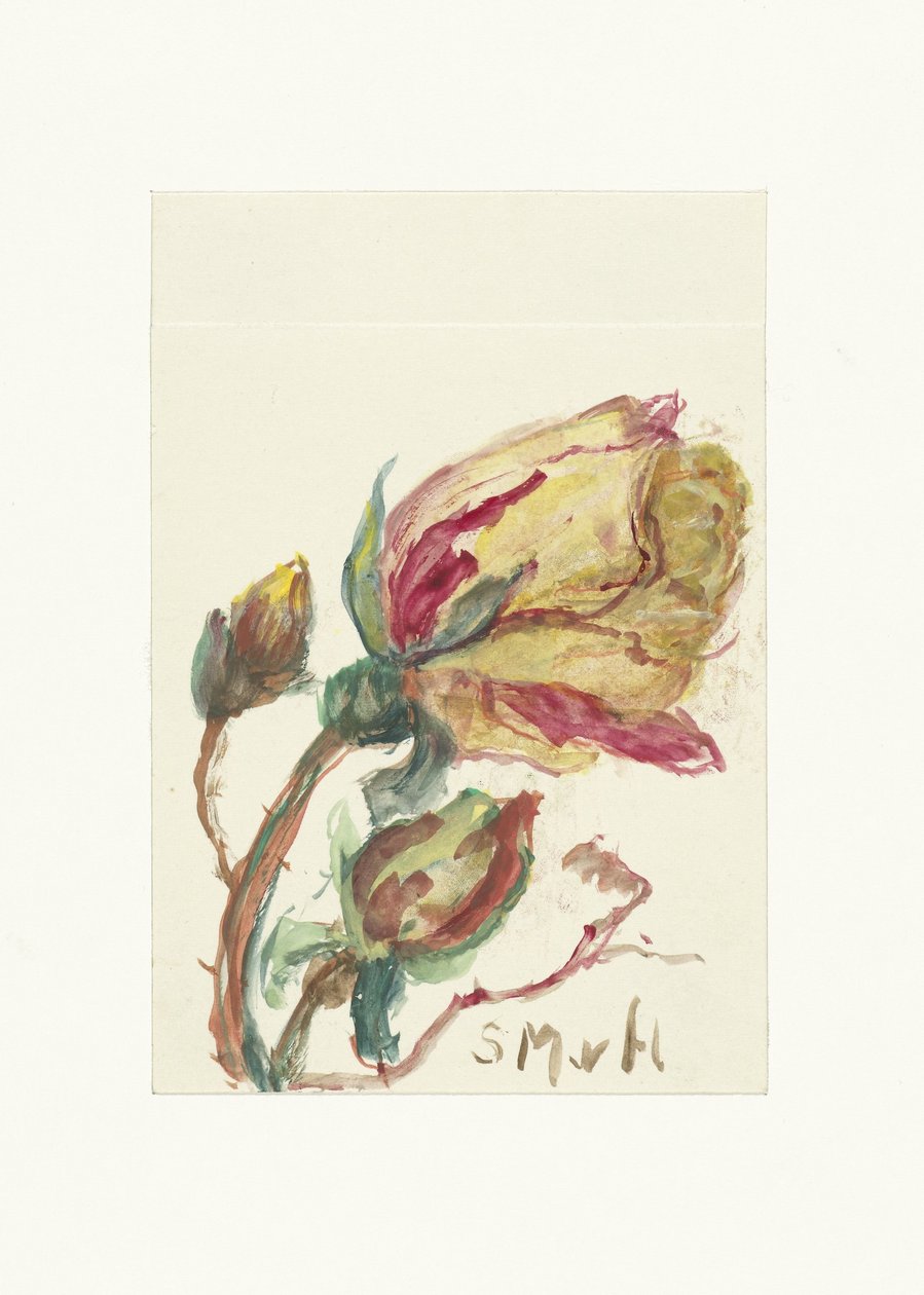 Roos door Sientje Mesdag van Houten