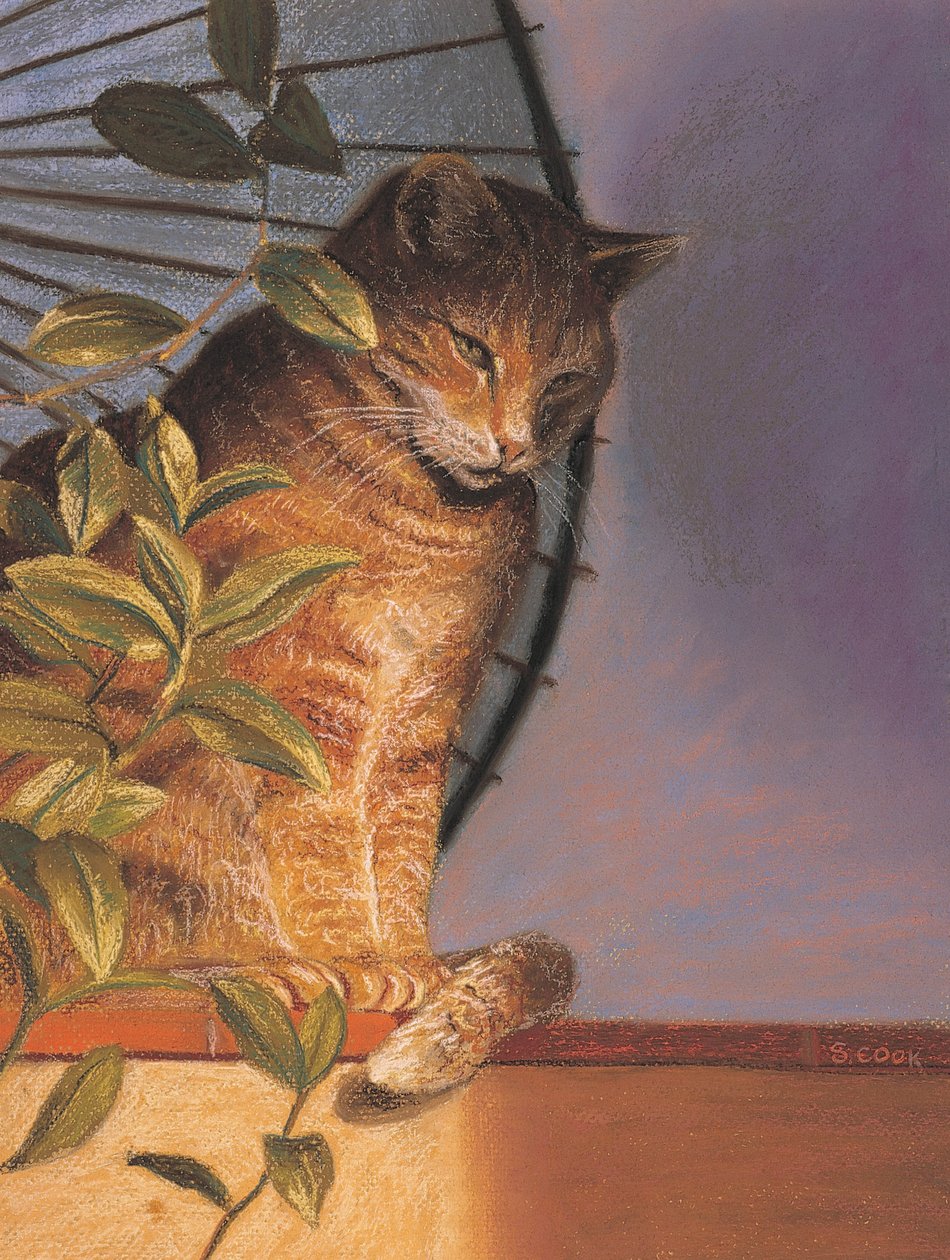 Contemplatie door Simon Cook