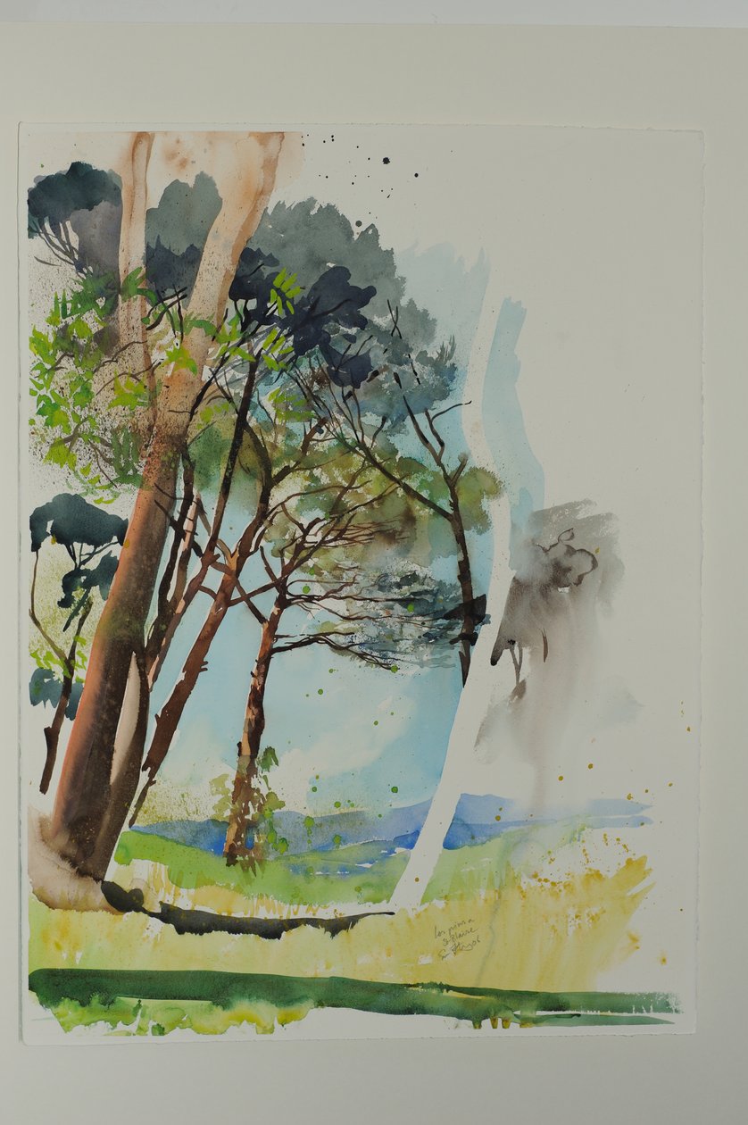 Pijnbomen bij St. Blaise, 2004 (aquarel op papier) door Simon Fletcher