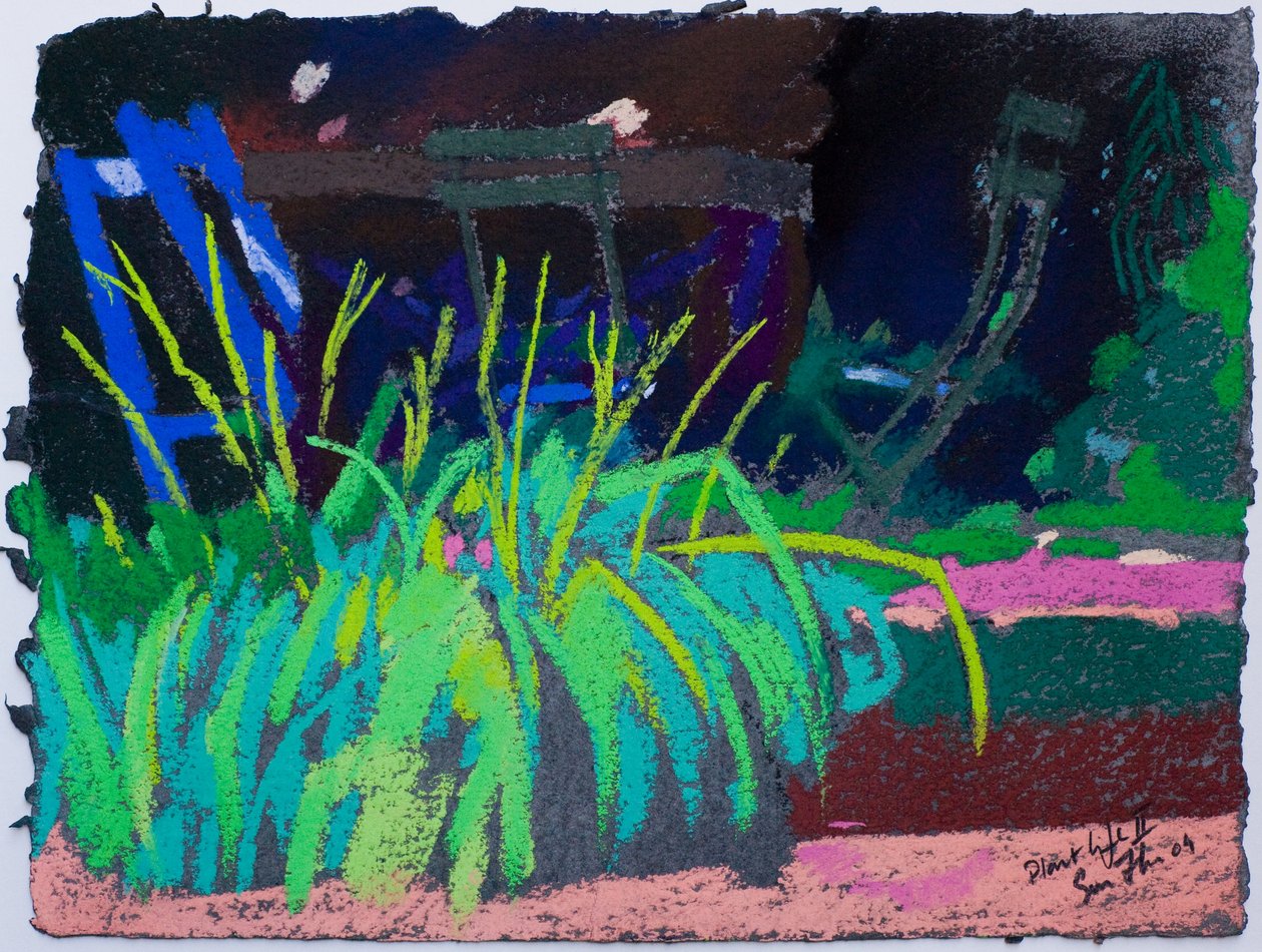 Plantenleven (pastel op papier) door Simon Fletcher