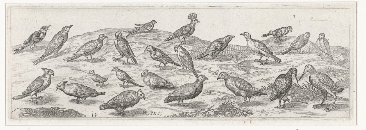 Landschap met verschillende soorten vogels Vogels en insecten (serie titel) door Simon Frisius