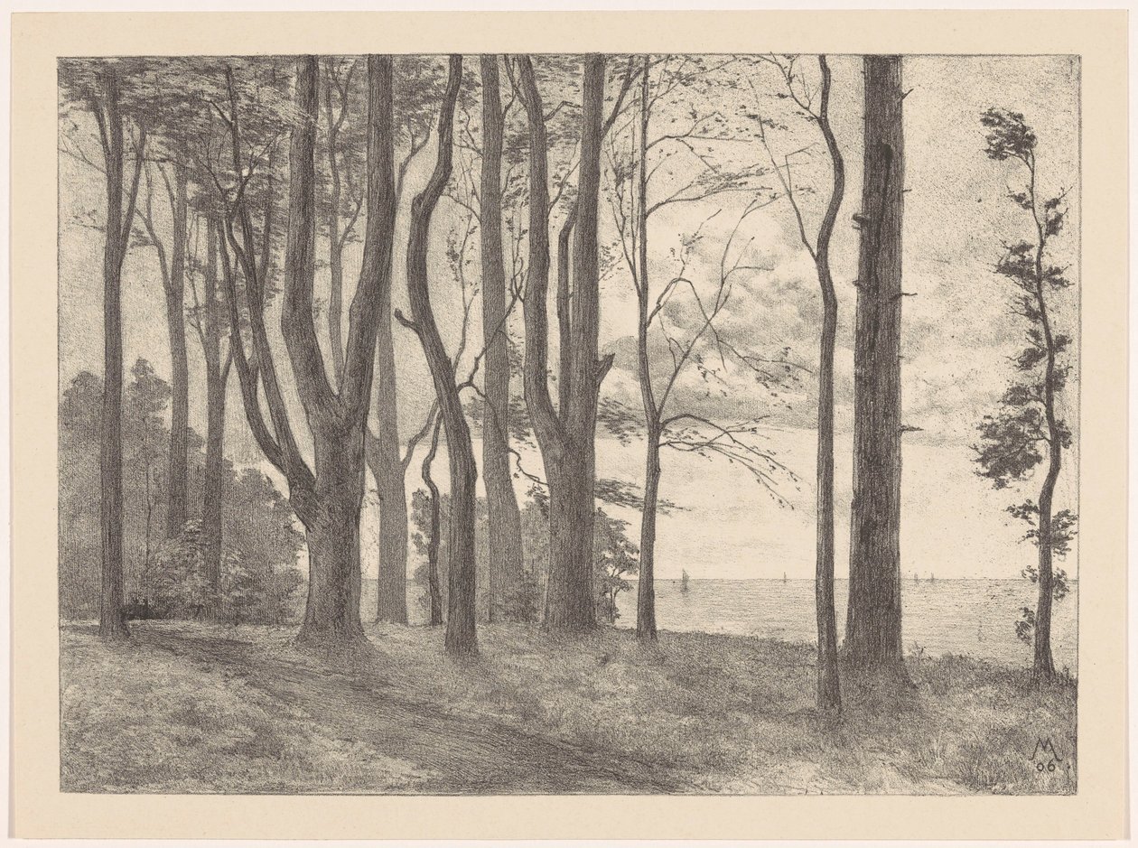 Bomen aan water met zeilboten door Simon Moulijn