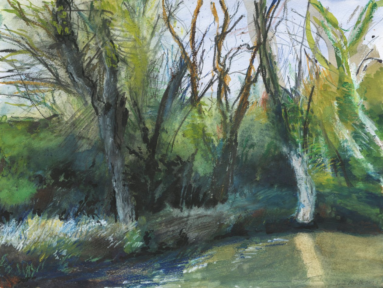 Latchmere Brook, Ham Common (aquarel, oliepastel, inkt, acryl en grafiet op papier) door Simon Neville