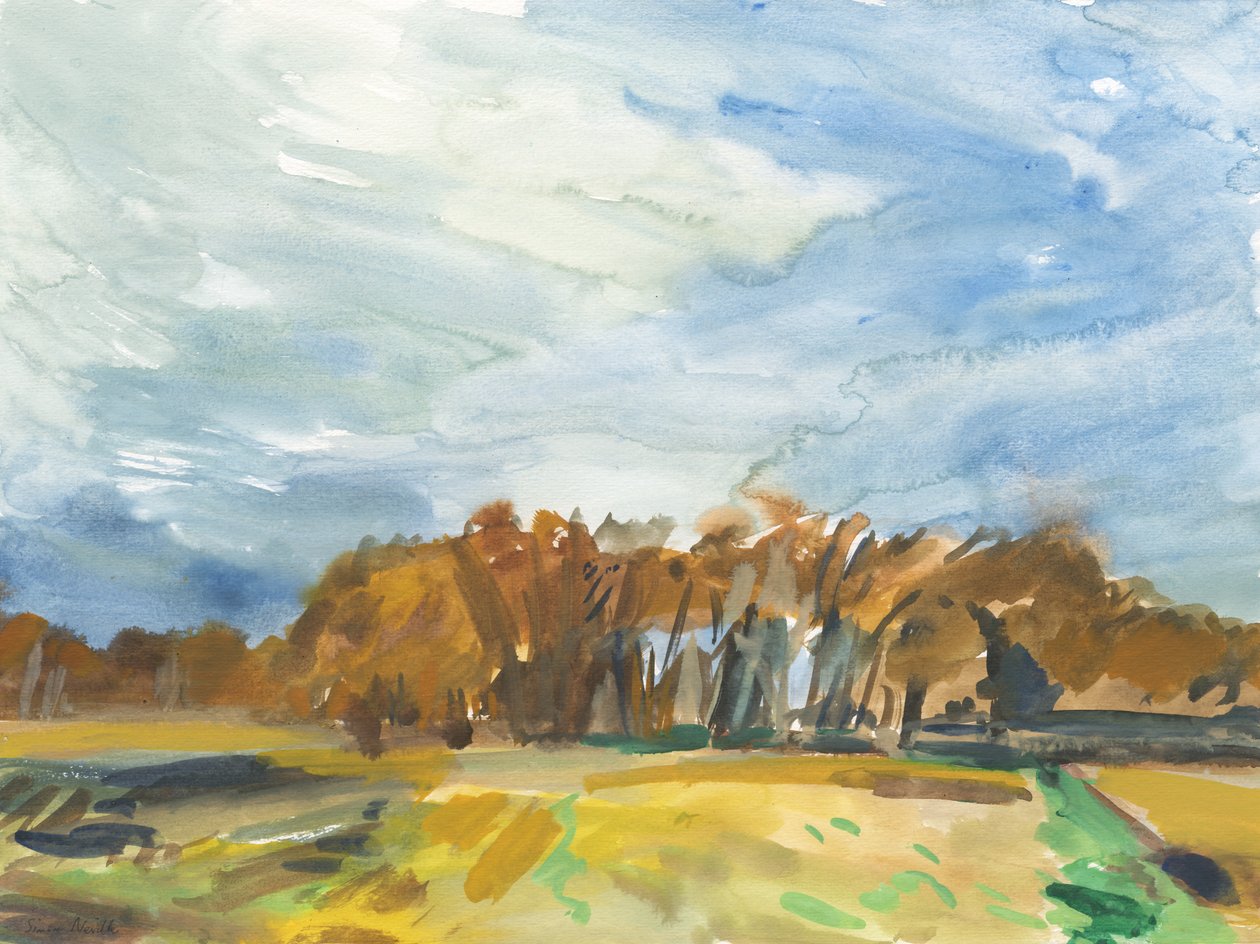 Richmond Park, 2018 (aquarel op papier) door Simon Neville