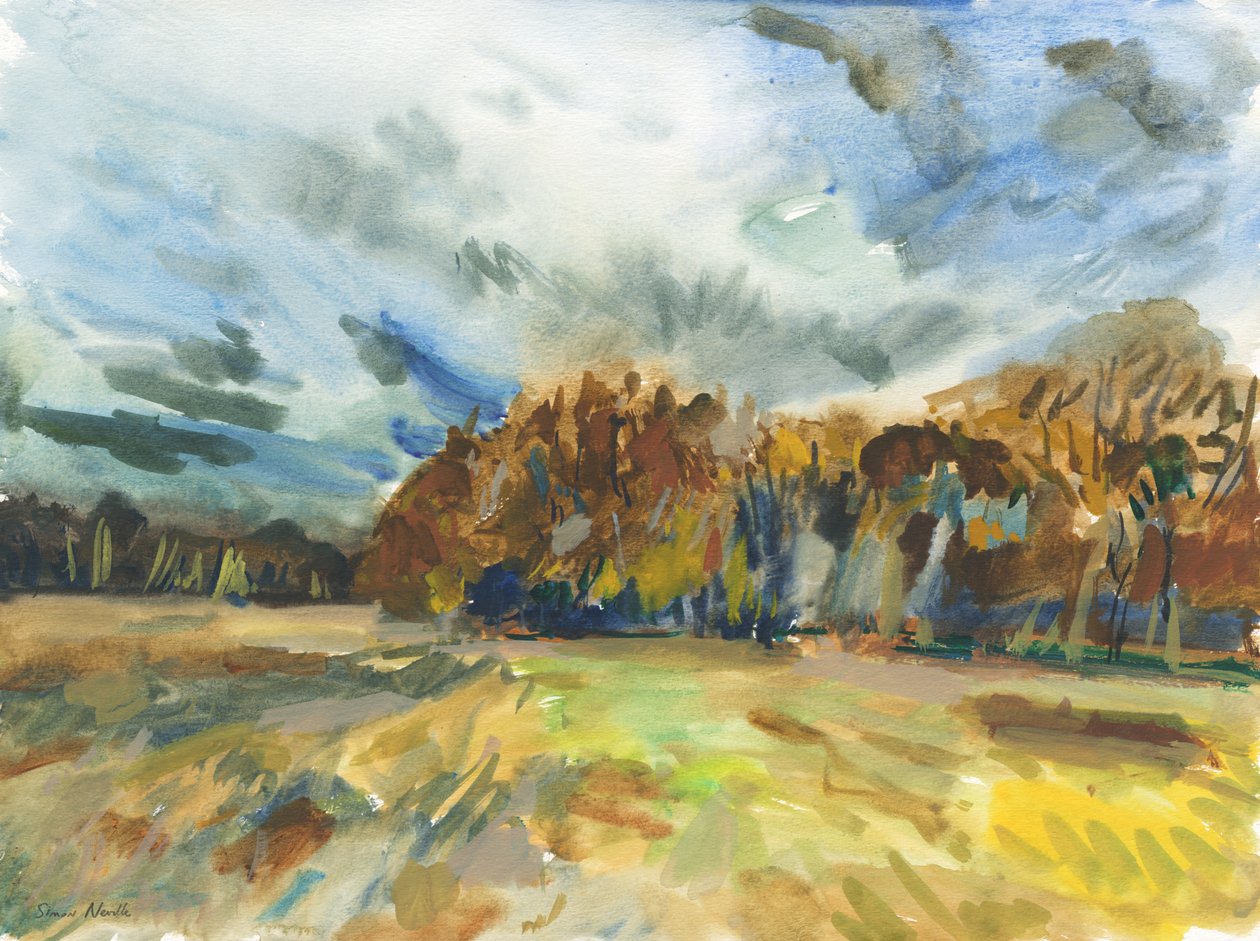 Richmond Park, 2018 (aquarel op papier) door Simon Neville