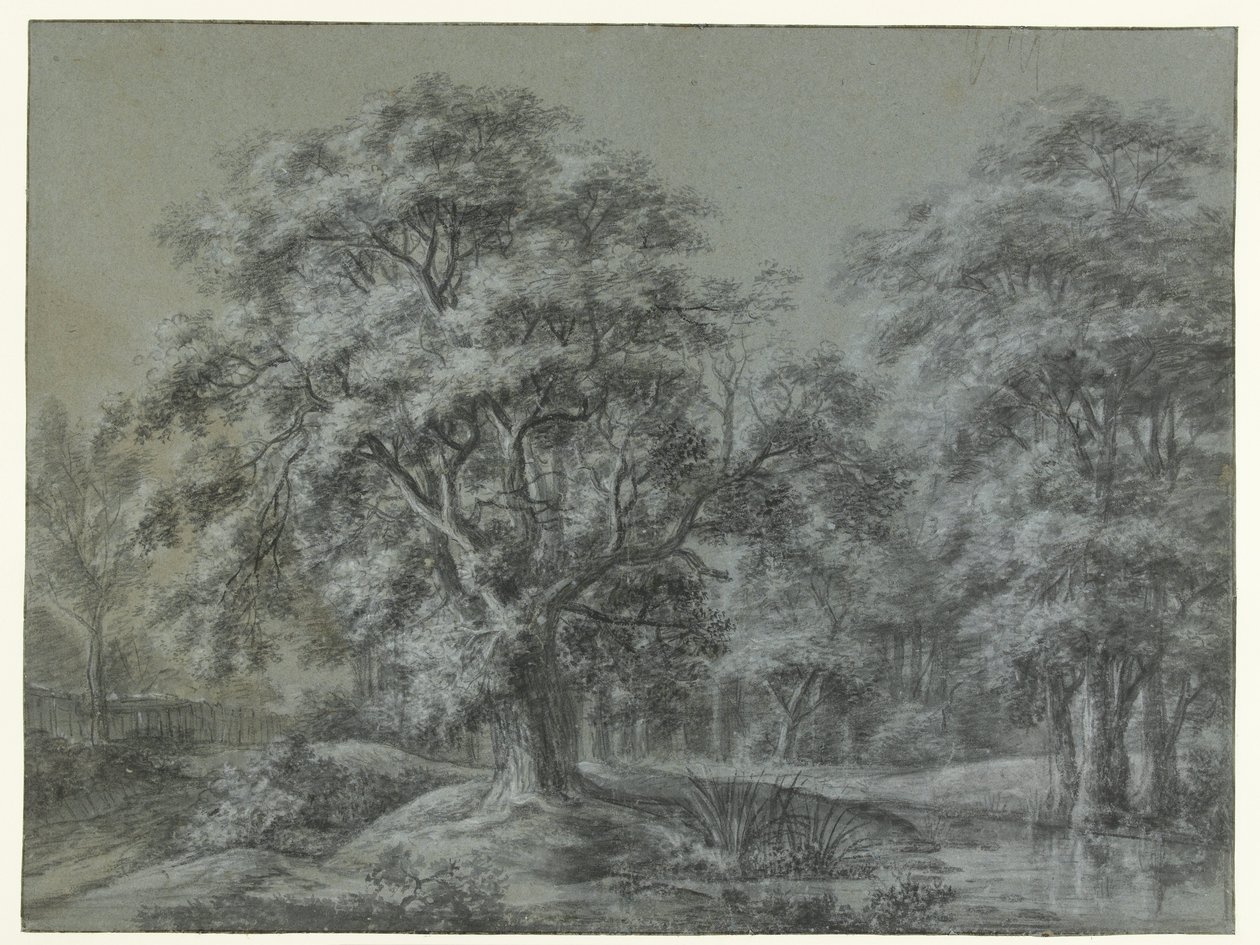 Boslandschap met een water door Simon de Vlieger