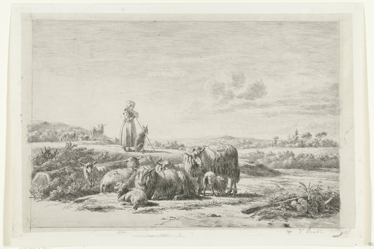 Landschap met herderin en hond bij kudde schapen door Simon van den Berg